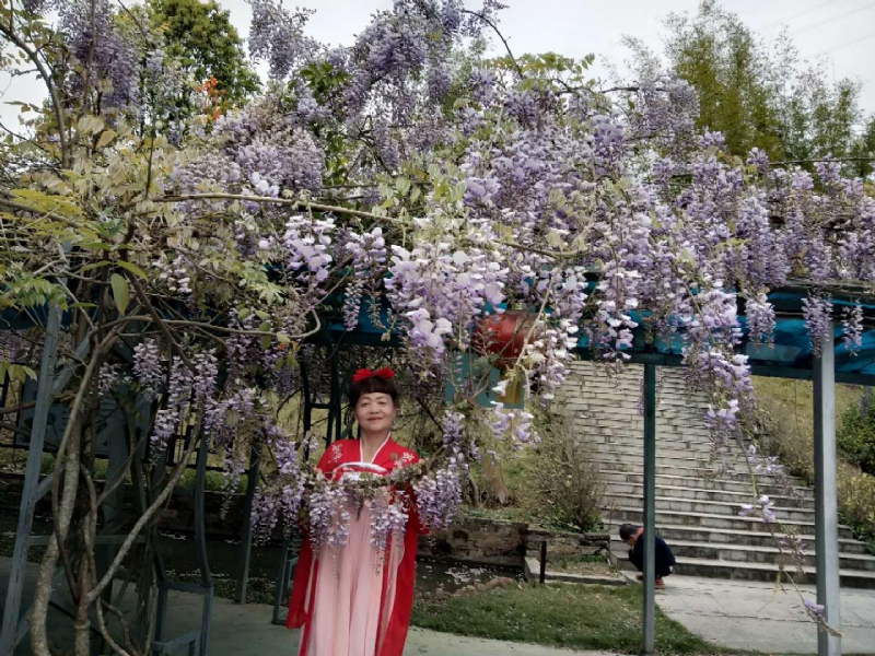 莉莉的第一张照片--东山婚介网