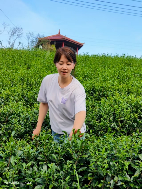 Q绮芳的第一张照片--东山婚介网